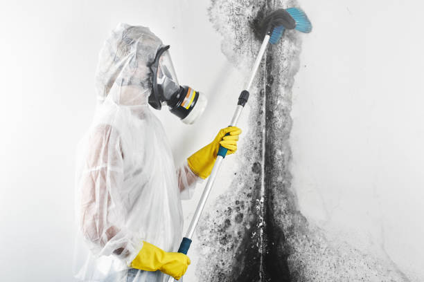 Asbestos and Lead Testing During Mold Inspection in Johnstown, OH