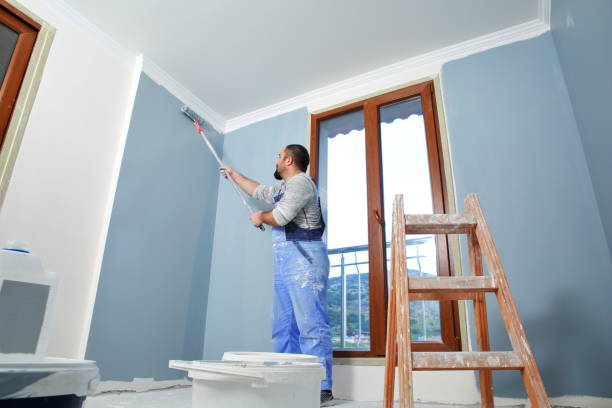 Best Mold Removal for HVAC Installations  in Jnstown, OH