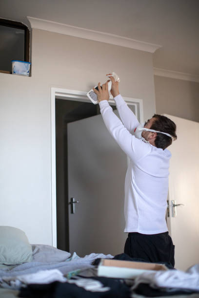 Best Asbestos and Lead Testing During Mold Inspection  in Jnstown, OH