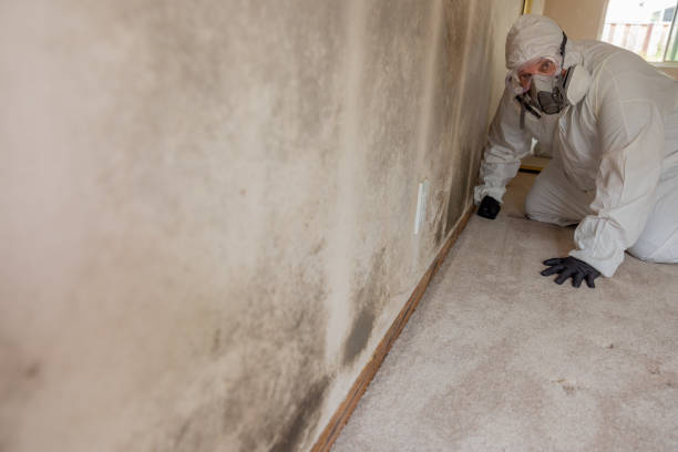 Best Post-Construction Mold Inspection  in Jnstown, OH