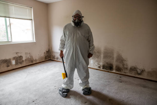 Best Air Quality Testing for Mold Spores  in Jnstown, OH