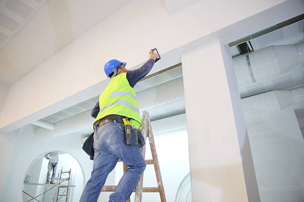 Best Basement Mold Removal  in Jnstown, OH
